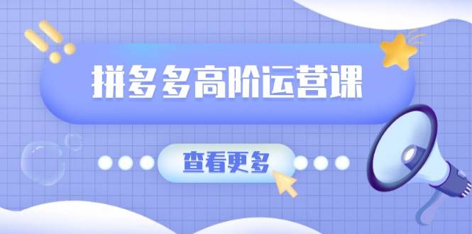 拼多多高阶运营课：极致群爆款玩法，轻付费无尽复制，打造单品爆款之路-晓贤资源网