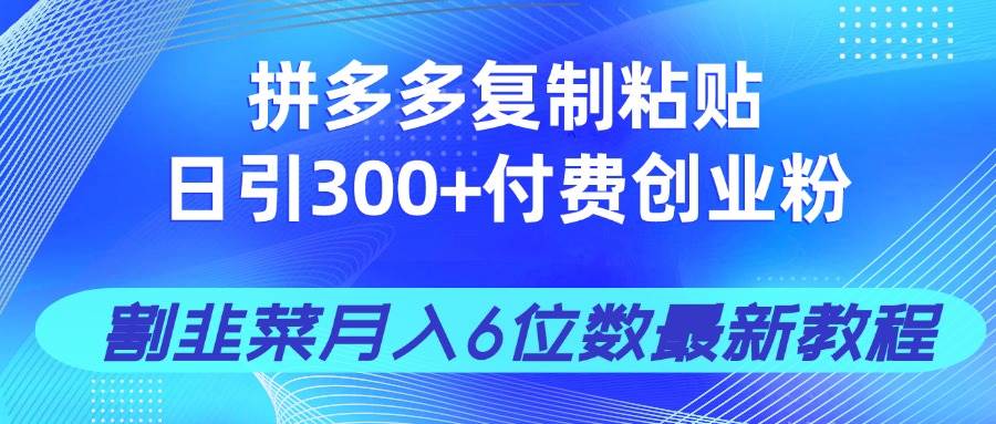拼多多复制粘贴日引300+付费创业粉，割韭菜月入6位数最新教程！-晓贤资源网